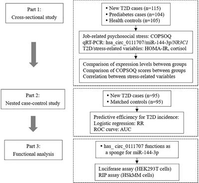 hsa_circ_0111707 Is Associated With Risk of Stress-Related Type 2 Diabetes via Sponging miR-144-3p